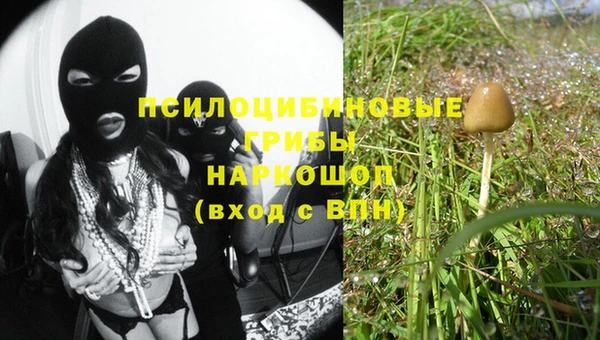 прущий лед Алзамай