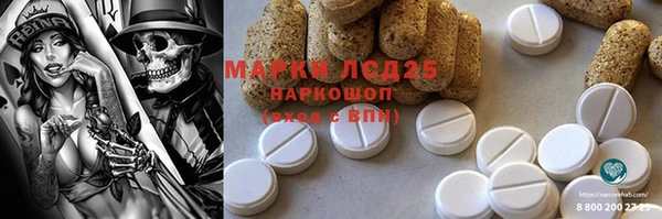 прущий лед Алзамай