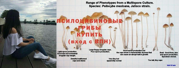 синтетический гашиш Алексин